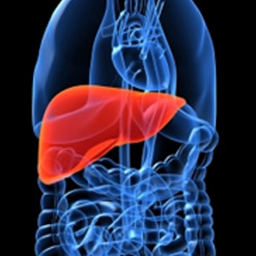 Hepatite medicamentosa